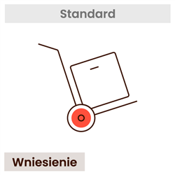 Wniesienie (dotyczy jednego wybranego towaru)