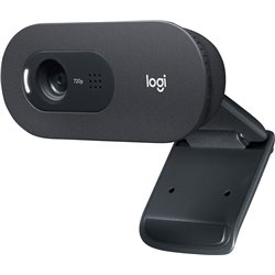Kamera internetowa Logitech  C505 (960-001364)
