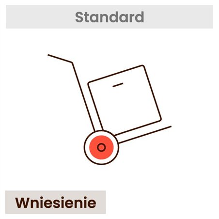 Wniesienie telewizora lub monitora (dotyczy jednego wybranego towaru)