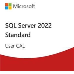 Microsoft SQL Server 2022 - 1 User CAL (Edu)  (DG7GMGF0MF3T:0002)