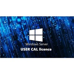 fujitsu technology solutions FUJITSU WINSVR CAL 2025 1User