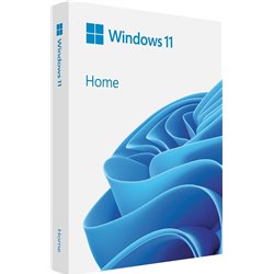 MS FPP WIN Home 11 64-bit German 1 License USB Flash Drive (DE)